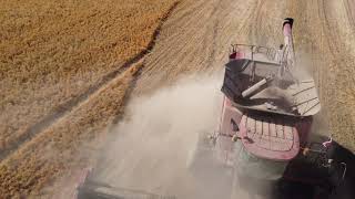 Wheat Harvest in the Palouse area [upl. by Betsy]