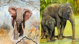 All Elephant Subspecies  Species List ReUpload [upl. by Prissie531]