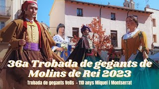 36a Trobada de gegants de Molins de Rei 1102023 [upl. by Lona200]