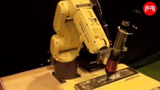 Robotmaster Roboterentgraten Fanuc [upl. by Ruthie184]