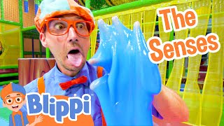 Blippi Learns the 5 Senses at a Play Place  Blippi Full Episodes  Educational Videos  Blippi Toys [upl. by Harmon]