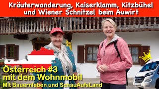 Österreich 3 Kräuterwanderung Kaiserklamm Kitzbühel und Wiener Schnitzel beim Auwirt [upl. by Ibbob957]