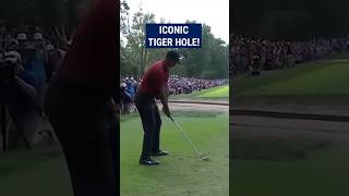 The Incredible Tiger Woods Story at Southgate Golf Club [upl. by Cohl]