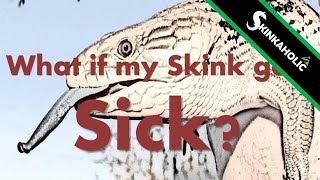 What If My Skink Gets Sick  Ep 16 [upl. by Kaine]