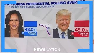 Florida poll shows Harris Trump in tight race  The Hill [upl. by Dodson]