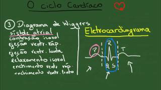 O Ciclo Cardíaco  Resumo  Fisiologia [upl. by Asaret]