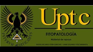 RECONOCIMIENTO DE SINTOMAS CAUSADOS POR HONGOS FITOPATÓGENOS [upl. by Haas616]