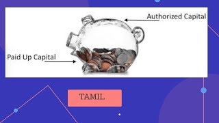 Authorised capital and paid up capital in tamil [upl. by Ogu]