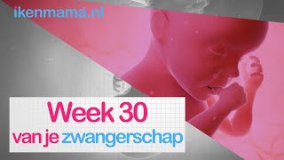 30 weken zwanger  ikenmamanl [upl. by Eronaele]