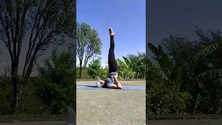 sarvangasana  halasana variations  yoga shorts content [upl. by Rossy]