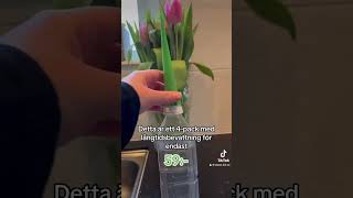 4Pack Långtidsbevattning  Självbevattning för krukväxtblommor [upl. by Ynatil864]