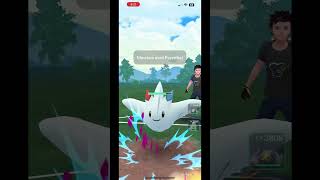 Can we win in the Master league using SHADOW Pokemon only pokemon pokemongo gobattleleague [upl. by Scholz167]