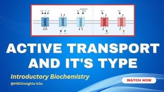 Active transport and its typeprimary active transportsecondary active transport [upl. by Ednutabab]