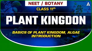 𝐏𝐋𝐀𝐍𝐓 𝐊𝐈𝐍𝐆𝐃𝐎𝐌 𝐂𝐋𝐀𝐒𝐒 𝟏𝟏  BASICS OF PLANT KINGDOM ALGAE INTRODUCTION  NEET SANJEEVANI BATCH neet [upl. by Roxine]