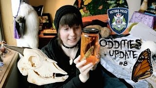 Oddities Update 8 [upl. by Lyreb243]