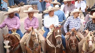 COLEADEROS ZACATECANOS EN LO DE LUNA JEREZ ZACATECAS MEXICO [upl. by Olram]