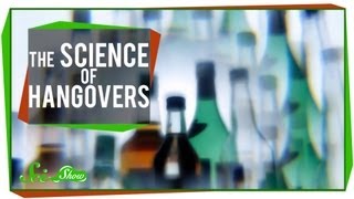 The Science of Hangovers [upl. by Eciruam]