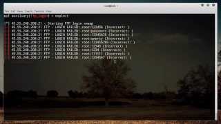 Metasploit for Network Security Tutorial  4  FTP Login [upl. by Yelra]