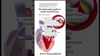 Hemodynamic goals in aortic insufficiency [upl. by Aicittel]