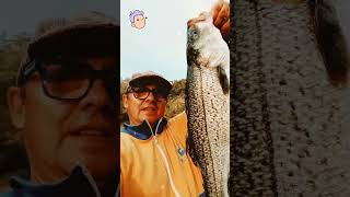 SPINNING🔴LIVE  Fishing 2024 bassfishing spinning [upl. by Rosco721]