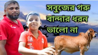 সবুজের গরু বান্দার ধরন ভালো না চাচা ভাতিজার মজার কৌতুক।। [upl. by Nylanaj29]