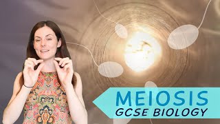 MEIOSIS GCSE Biology 91  Combined Science Revision amp Qs [upl. by Jordain]