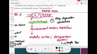 Leptin hormone endocrinology 28  First Aid USMLE Step 1 in UrduHindi [upl. by Nahshu828]