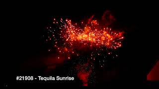 TEQUILA SUNRISE 21908 [upl. by Sucitivel]