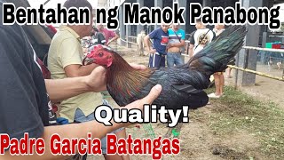 MGA QUALITY ANG MANOK Bentahan ng Manok Panabong sa Padre Garcia Batangas [upl. by Birk]