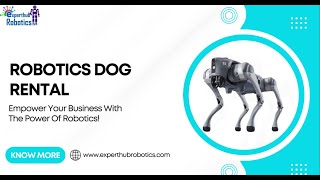 Robot In Action Go2 Robotics Dog [upl. by Walcoff698]