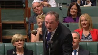 Australian Deputy Prime Minister Barnaby Joyce screams quotcarpquot amp quotmudsucking creaturesquot [upl. by Valina]