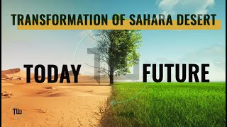 How Sahara Desert is Transforming  Trends in the World [upl. by Ahaelam719]