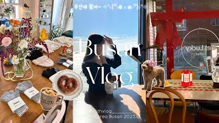 【 Busan vlog 】釜山が良すぎたから見て？🥹✩‧₊˚  1泊2日韓国釜山旅行🇰🇷  西面 田浦 海雲台 影島 [upl. by Tonjes482]