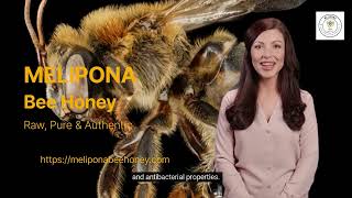 MELIPONA BEE RAW HONEY™ FACTS [upl. by Eylk]