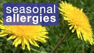 How to reduce seasonal allergies [upl. by Nidak]