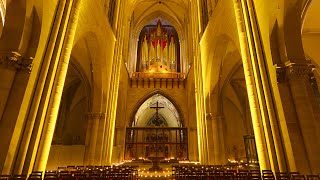 Magdeburger Dom Mayday 2015  Woody  Auferstanden aus Ruinen Nationalhymne ExDDR [upl. by Nettirb]