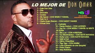 Lo Mejor de Don Omar 1º Parte  HBDJ [upl. by Sueaddaht]