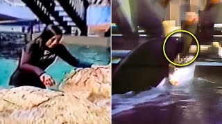 The Tragic Killer Whale Attack On Tamarie Tollison Actual Footage [upl. by Aretahs]