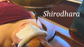 SHIRODHARA therapy experience in Kerala  Ayurvedic Therapies [upl. by Wyndham]