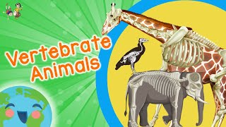 Vertebrate Animals for Kids Educational Video for Kids [upl. by Aiyekal]