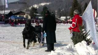 Bäuerliches Schlittenrennen Rottach Egern 2012 [upl. by Niela910]