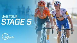 UAE Tour 2020  Stage 5 Highlights  InCycle [upl. by Baudin]