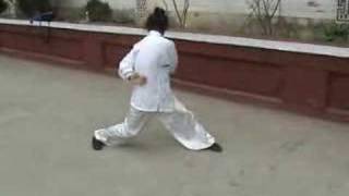 a kung fu masters amazing exercise [upl. by Cumings]