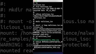 Malware Minute  Analyzing ISO Files [upl. by Franek]