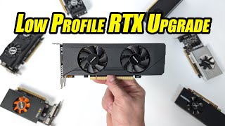 This New Low Profile GPU Might Just Be What Your SFF PC Needed [upl. by Kieger]