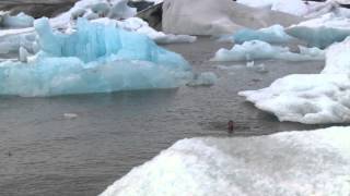 Wim Hof The Iceman [upl. by Onoitna]