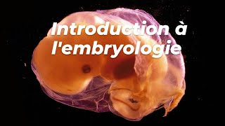 INTRODUCTION A LEMBRYOLOGIE [upl. by Kamp]