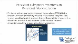 Keyword Review Pediatric Anesthesia Part 1  Dr Reddy [upl. by Vickie]