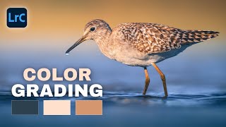 PROS Know This About COLOR GRADING Beginners DONT [upl. by Alroi]