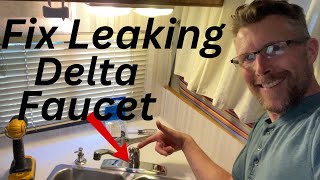 How to Fix a Leaking Delta Kitchen Faucet [upl. by Nivloc766]